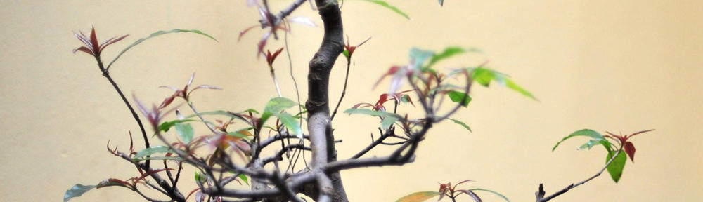 Cadillac Career Centre